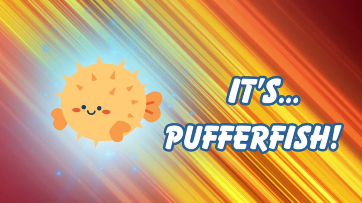 What's That Animal? image number null